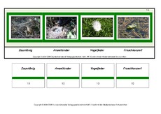 Setzleiste-zusammengesetzte-Frühlingswörter 10.pdf